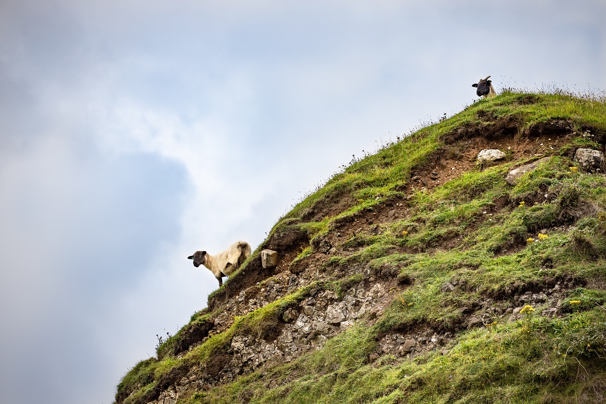 Scaling your data before clustering